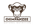 CHIMPANZEE